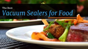 The Best Vacuum Sealers for food
