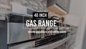 40 inch gas range
