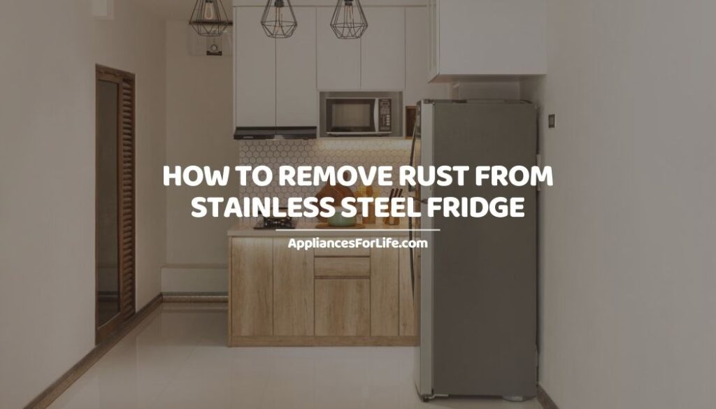 HOW TO REMOVE RUST FROM STAINLESS STEEL FRIDGE