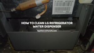 How to Clean LG Refrigerator Water Dispenser
