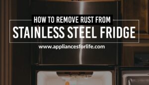 How to remove rust from stainless steel fridge