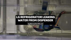 LG Refrigerator Leaking Water from Dispenser