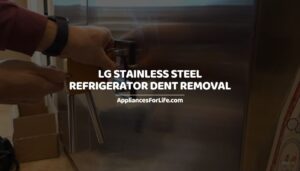 LG Stainless Steel Refrigerator Dent Removal