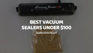 Best Vacuum Sealers under $100