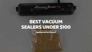Best Vacuum Sealers under $100