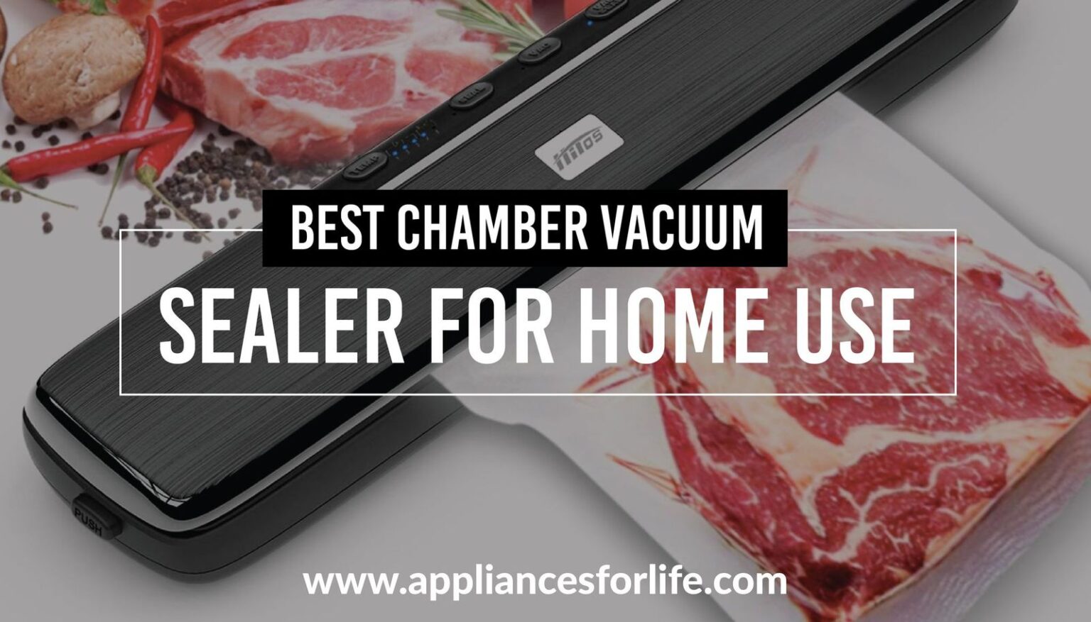 Top 3 Best Vacuum Sealers for Mylar Bags Appliances For Life