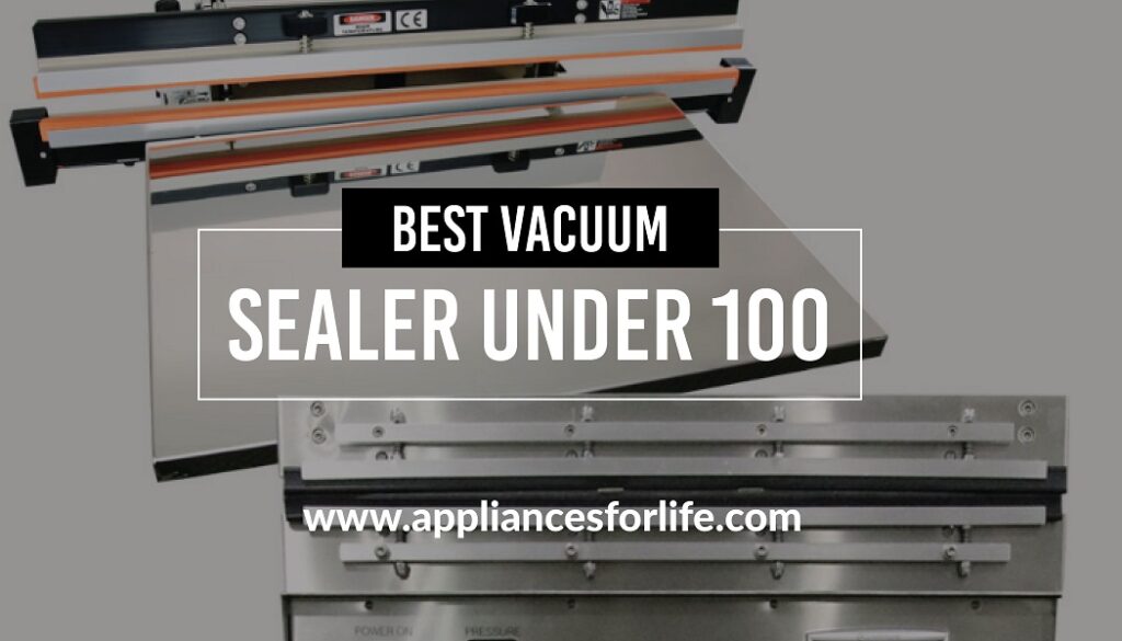 Best vacuum sealer under 100