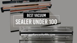 Best vacuum sealer under 100