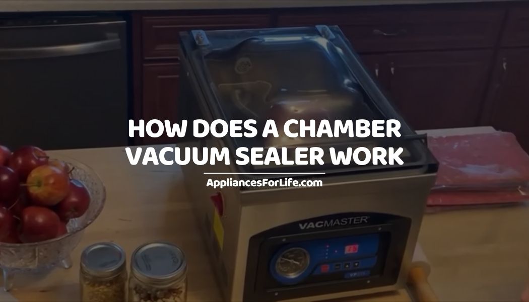 HOW DOES A CHAMBER VACUUM SEALER WORK Appliances For Life