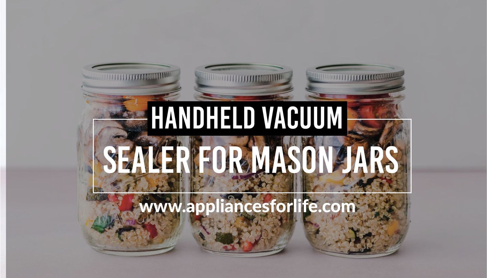 Top 3 Best Handheld Vacuum Sealers for Mason Jars Appliances For Life
