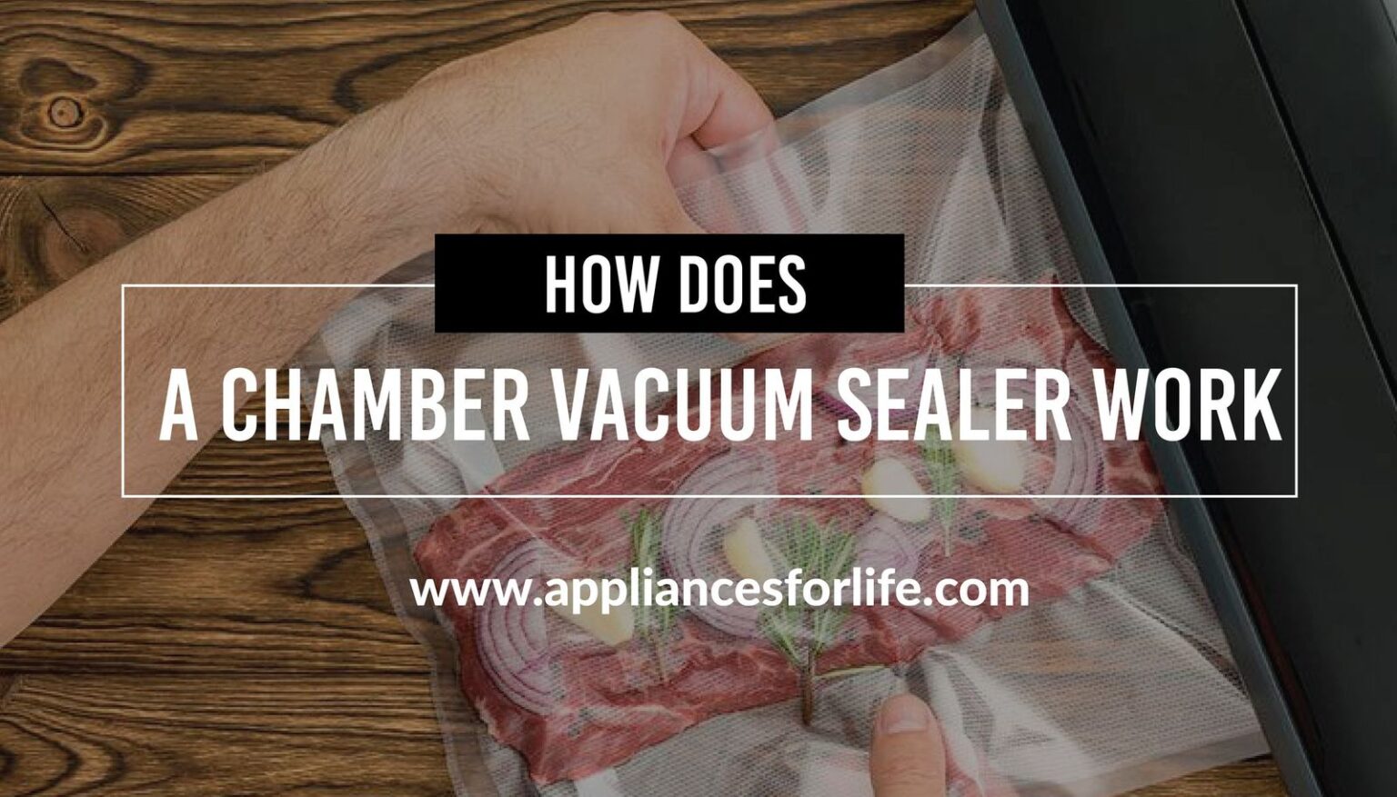 How does a chamber vacuum sealer work 1 Appliances For Life