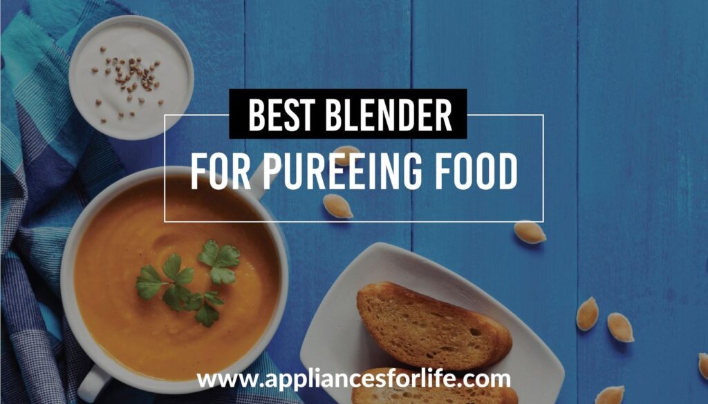 Best blender for pureeing food