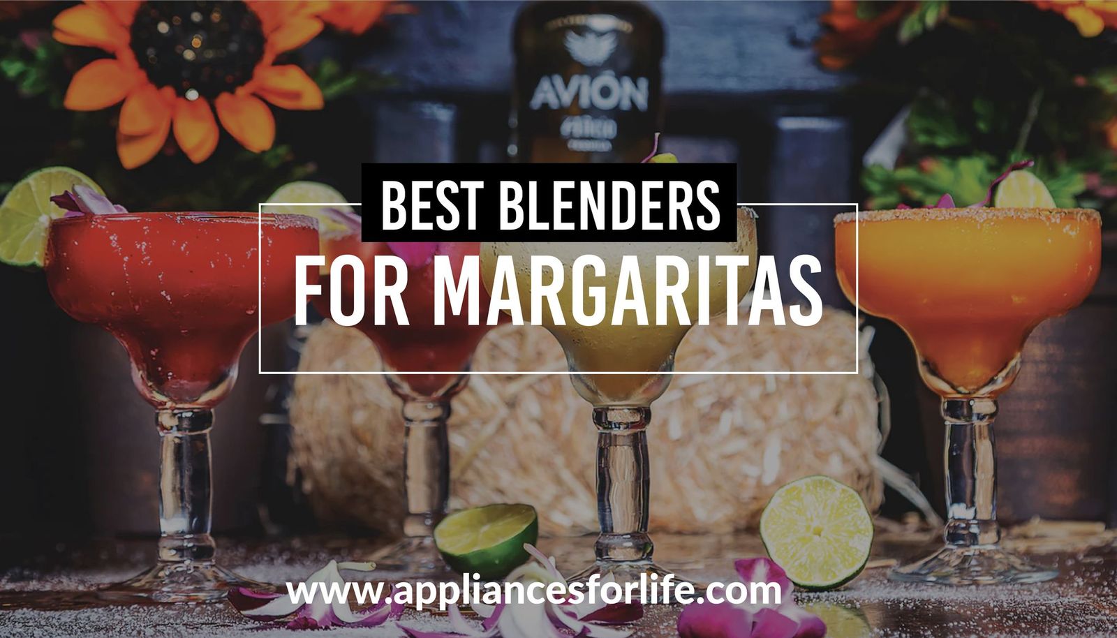 Top 3 Best Blenders for Margaritas Appliances For Life