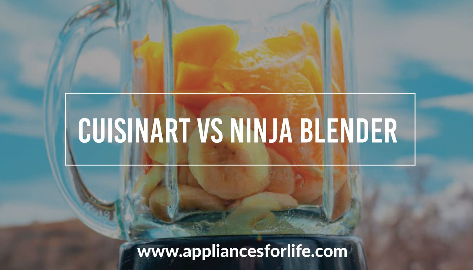Cuisinart vs Ninja Blender Appliances For Life