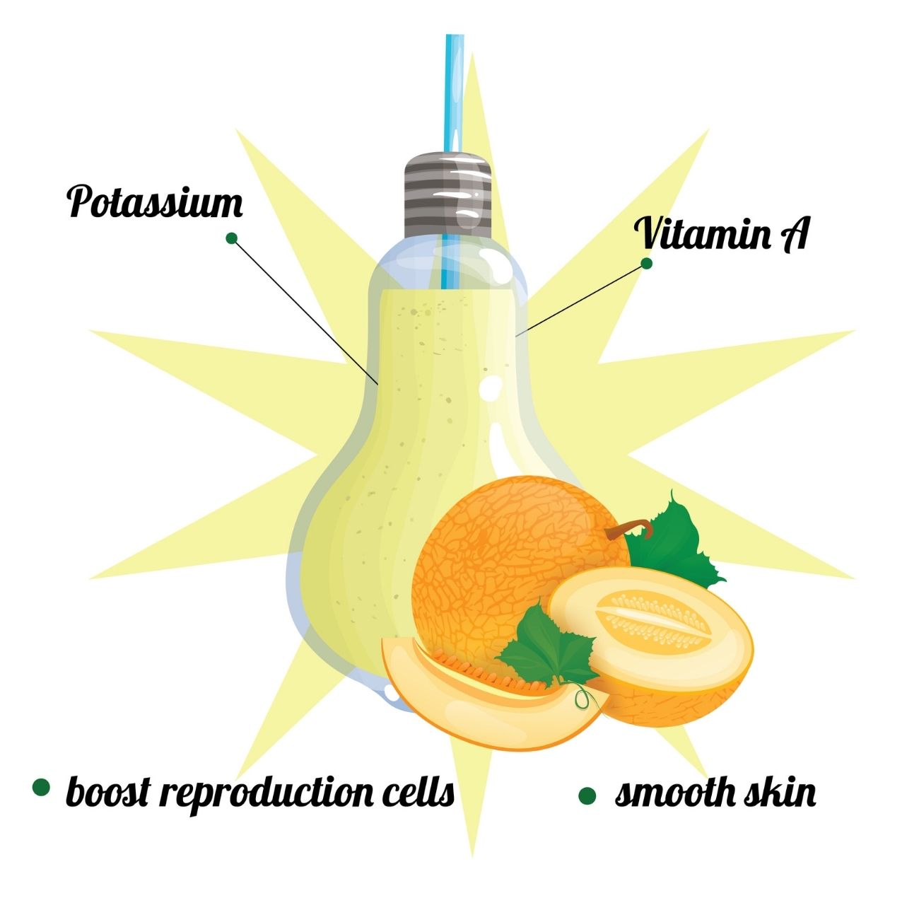 Juicing blending Cantaloupe - best fruits to juice