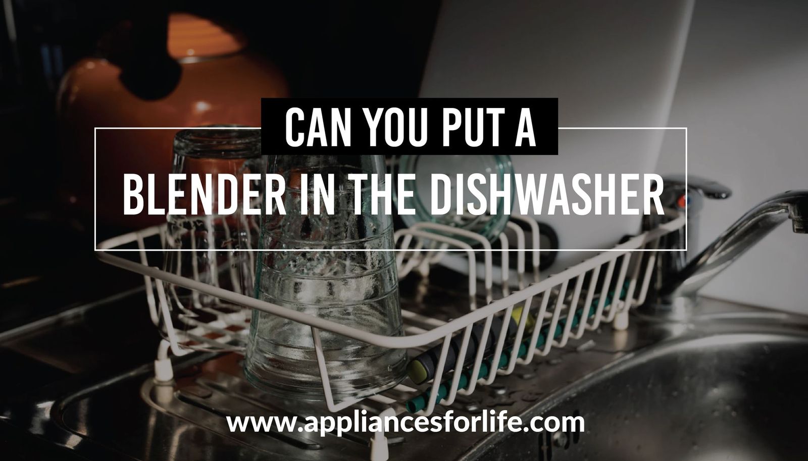 Can You Put a Blender in the Dishwasher? Appliances For Life