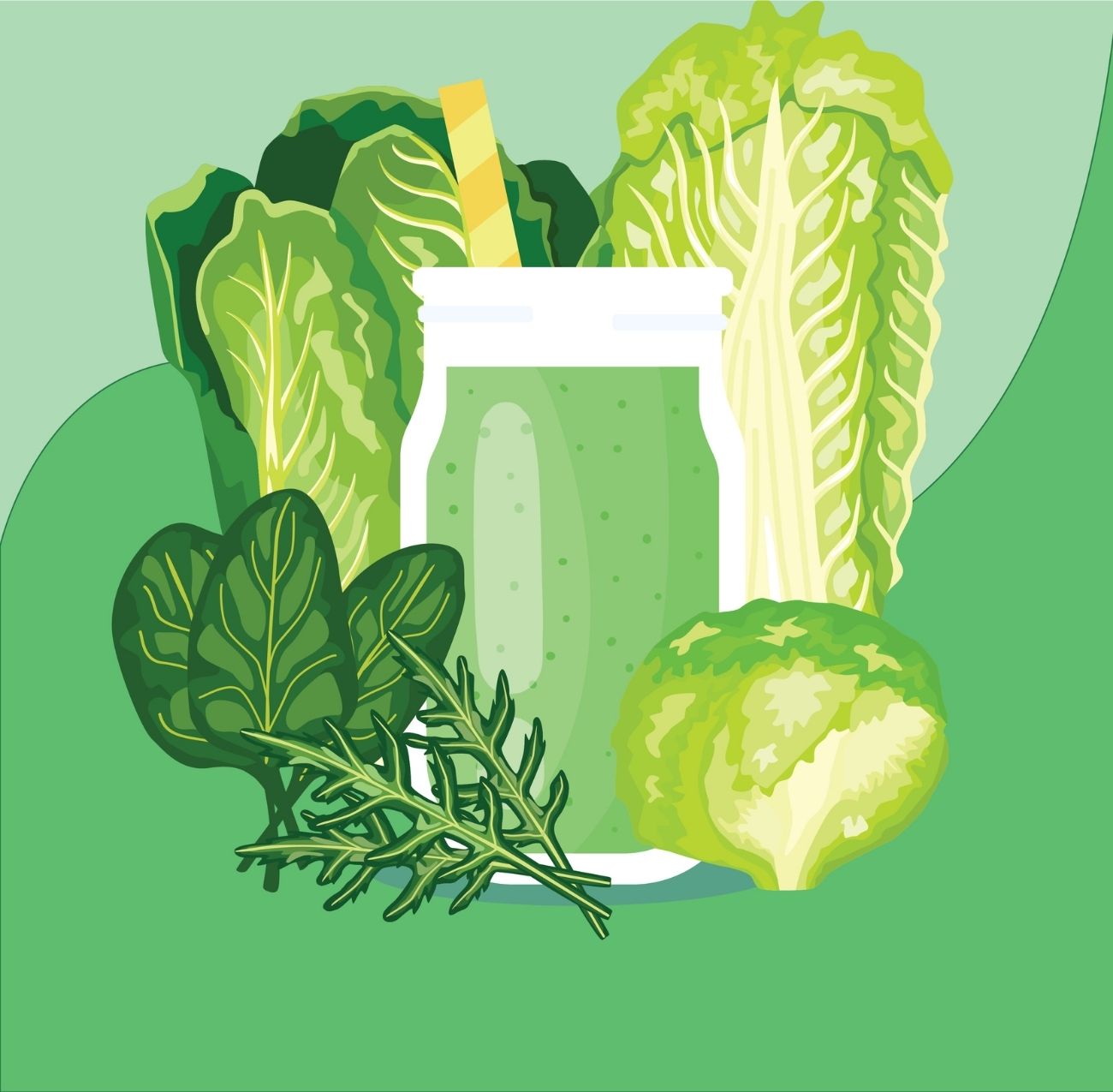 Romaine lettuce spinach cabbage bok choy fennel