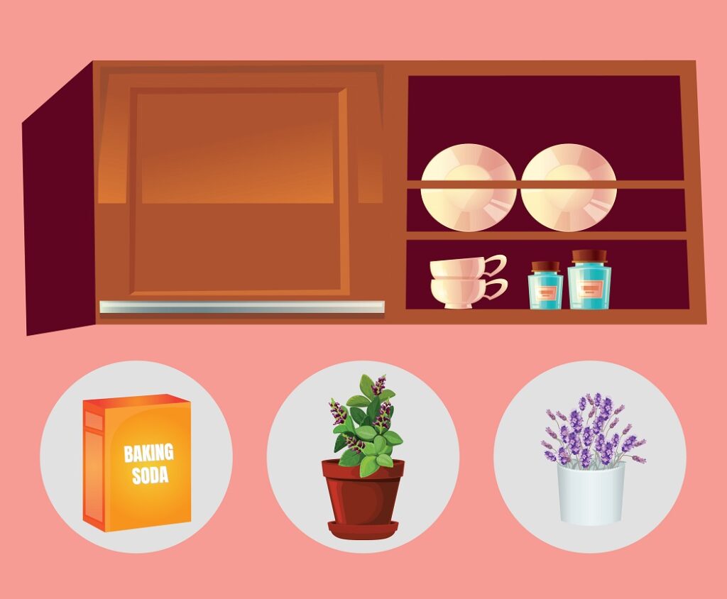 How to Get Smells Out of Wood Appliances For Life