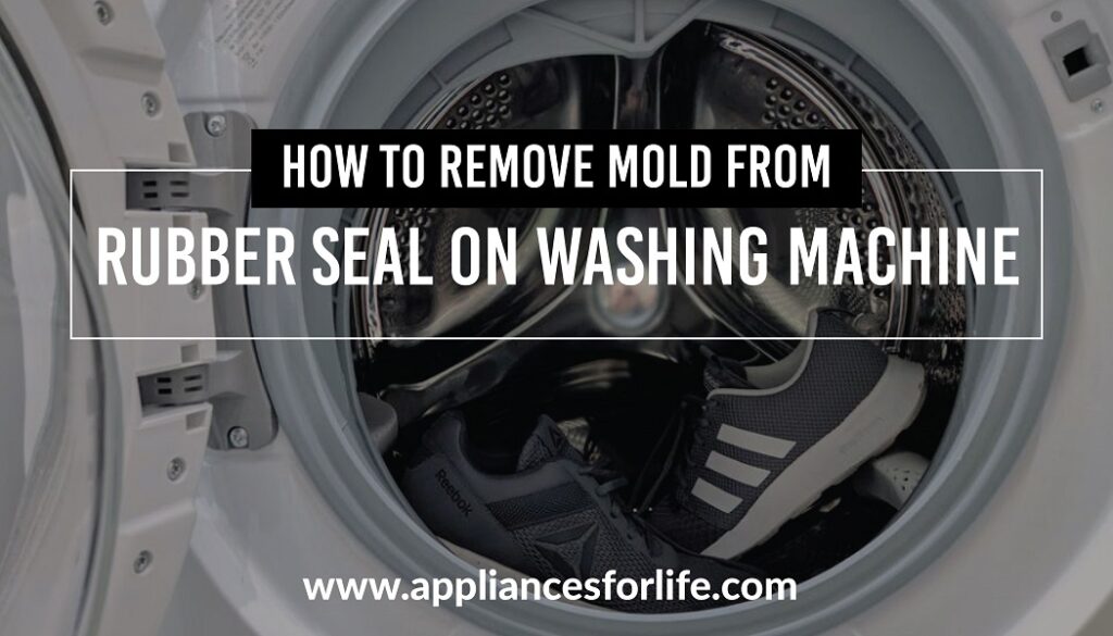 How to remove mold from rubber seal on washing machine