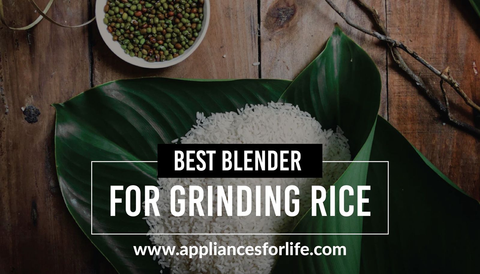 Best Blenders for Grinding Rice Appliances For Life