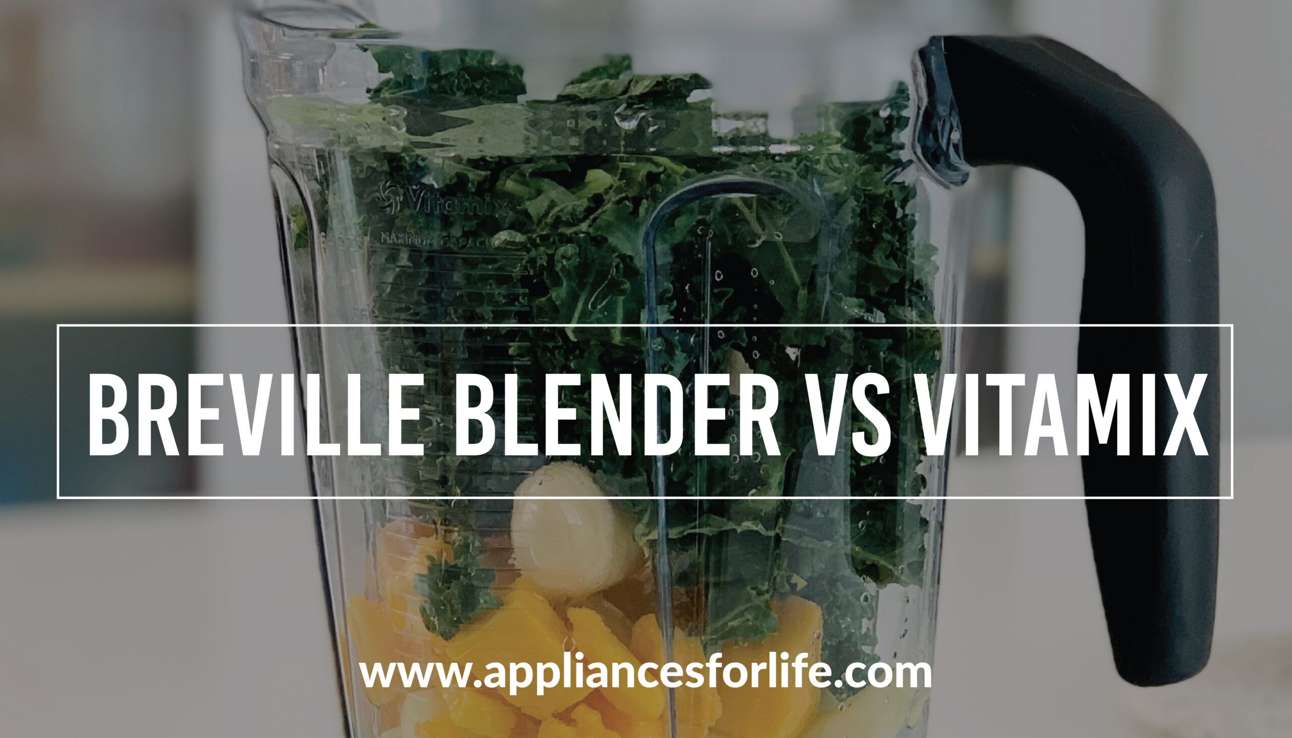 Breville Blenders vs. Vitamix Appliances For Life