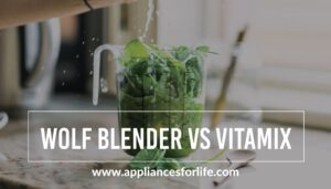 Wolf Blender vs Vitamix