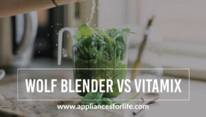 Wolf Blender vs Vitamix