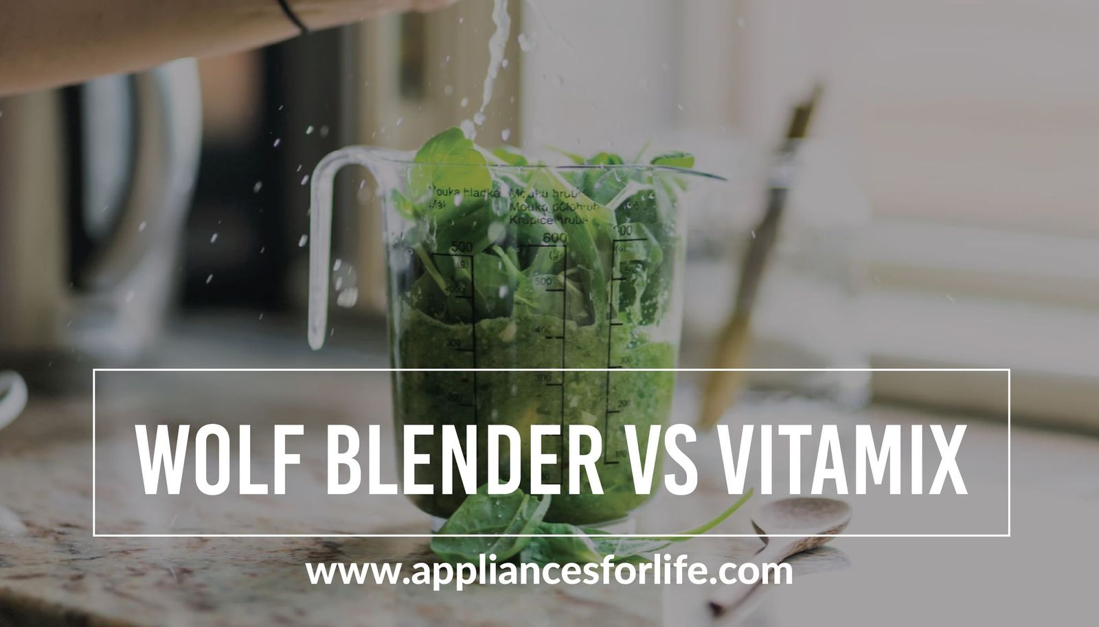 Wolf Blender vs Vitamix Appliances For Life