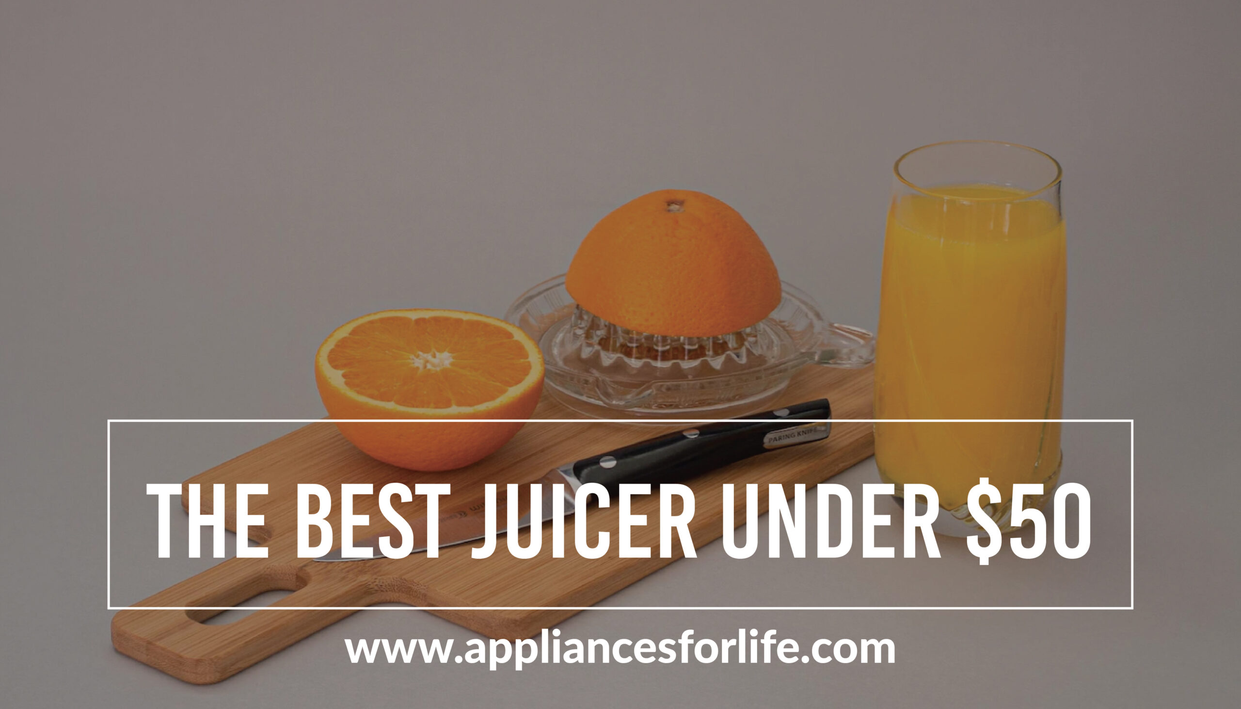 The Best Juicers Under 50 Appliances For Life
