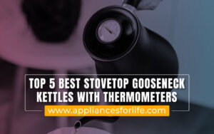 Best Stovetop Gooseneck Kettle With Thermometer