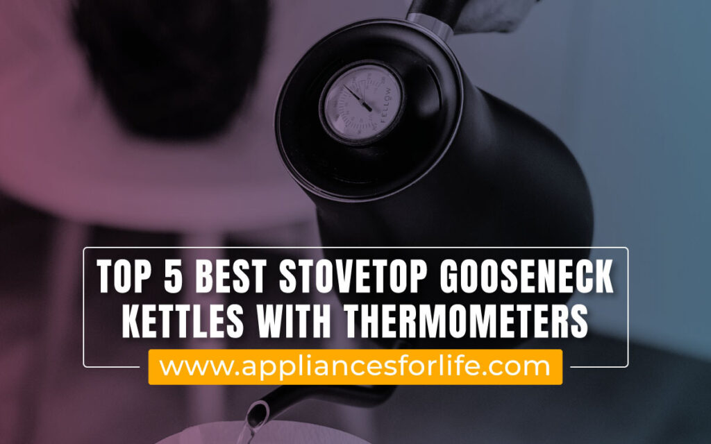 Best Stovetop Gooseneck Kettle With Thermometer
