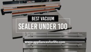 Best Vacuum Sealers under $100