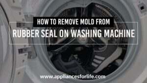 How to Remove Mold From Rubber Seal on Washing Machine