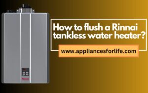 How to flush a Rinnai tankless water heater