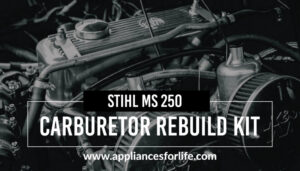 Stihl MS 250 Carburetor rebuild kit and carburetor tips