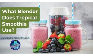 What blender does Tropical Smoothie use