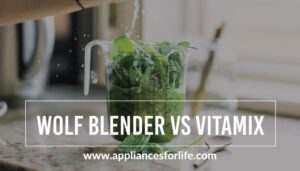 Wolf Blender vs Vitamix