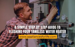 how to flush a tankless water heater